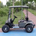 LSV 2 Seater Golf Cart High Performance Lithium Battery Color Option 25-40 Mph