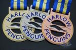 Custom Logo Penguins Design Metal Award Medals Cut Out Shape Size 50*3.5MM