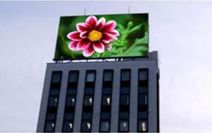 Quality Large and Transparent Outdoor Full Color LED Display Wall P10 wholesale