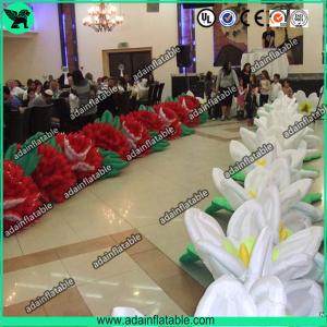 Quality Birthday Event Inflatable Flower,Birthday Party Inflatable,Inflatable Flower Chain wholesale