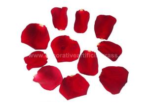Quality Dried Red Rose Petals For DIY Projects Biodegradable Confetti wholesale