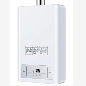 Quality Constant NG LPG Gas Water Heater Tankless Hot Water 12L-16L OEM wholesale