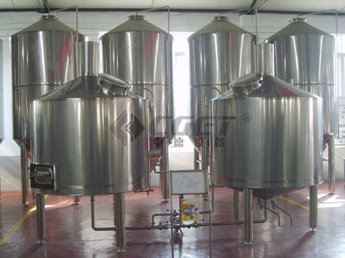 Draft Beer Stainless Steel Brewing Equipment 200L 300L 500L Ss Fermentation