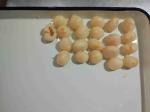 15 Oz Syrup Preservation GMO Cultivation Lychee Canned Fruit