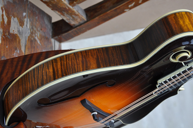 Handmade custom advanced 8 strings QT-F5 mandolin electric guitar with ebony fretboard