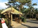 Customized South Africa Synthetic Thatch Tile for Roof Decoration SGS Tested and