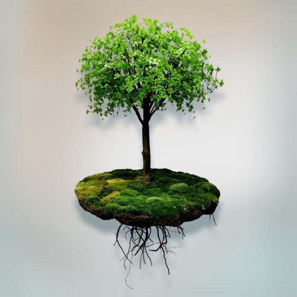 Anti UV Vertical Greening Artificial Simulated Plant Decor Suspended Space