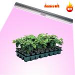 640W Greenhouse LED Grow Lights PPFD AC 110V Greenhouse Supplemental Lighting