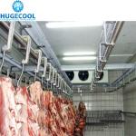 500 Tons Cold Room Freezer Room for Butcher Shop Freon Refrigerant and Direct