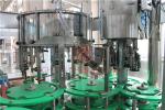 High Speed Juice Bottle Filling Machine Glass Bottling Equipment