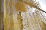 Best-Price And The Professional Noodle Production Line Machinery