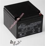 OEM LEOCH DJM12-24 VRLA Batteries AGM Technology 12V 24AH