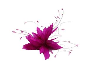 Quality Goose Feather and Stripped Coque Flower Mount Feather Headwear for Halloween 15*30 CM wholesale