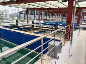Quality Customizability Sewage Treatment System - Reaction Tank System wholesale
