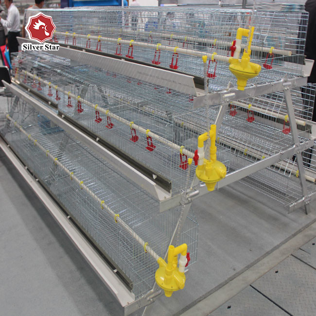 Free Design A Type Hot Galvanized Baby Chick Cage 4 Tiers 168 Birds