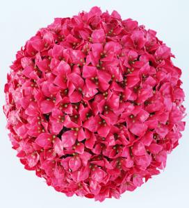 Quality Flower Topiary Artificial Plant Balls Plastic Faux wholesale