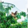 Buy cheap 7GSM Bird Proof Net Green Bird Proof Netting For Fruit Trees from wholesalers