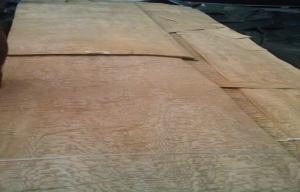 Quality Yellow Ash Burl Wood Veneer With Ball Grain , Sliced Cut Veneer wholesale