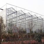 Venlo Tempered Glass Panels Steel Frame Greenhouse Europe Automatic System