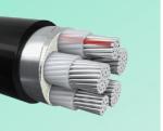 Polyethylene XLPE PVC Armoured Cable Insulated 0.6kv 2.5mm