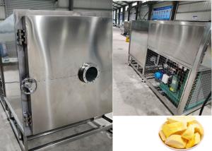 Quality PLC Control Freeze Dry Fruit Machine Equipment 100Kg 200Kg wholesale