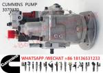 3070370 Cummins N14 M11-C 4061182 Common Rail Fuel Pump