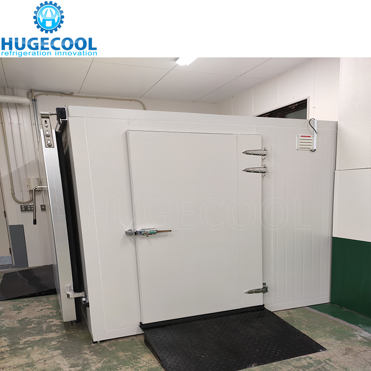 Cold Storage Room Hinged Door Swing Door Double Open