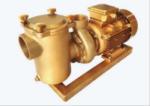 BP30 Swimming Pool Water Pumps For Swimming Pool
