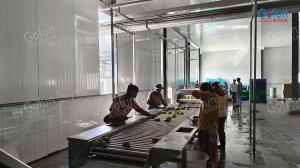Quality A complete set of pineapple processing line machines selected by more than 300 companies around the world wholesale