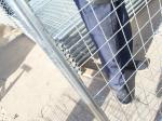 Temporary Fencing TAS area for sale hot dipped galvanized temporary fenicng site