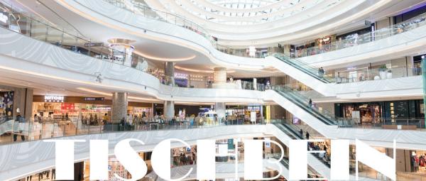 600mm 800mm 1000mm 35° Inclination Shopping Mall Escalator Stainless Steel Step