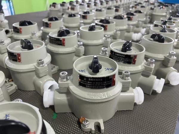 Surface Mount 4. Hazardous Location Switch for G3/4'' Cable Entry in Industrial
