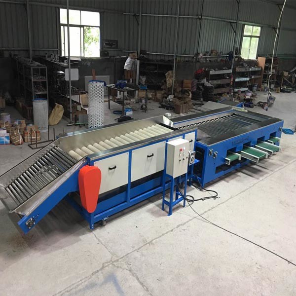 Peach Fruit Grading Machine