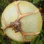 American Vintage Style Resin Antler Chandelier Ceiling Deer Horn Pendant Lights