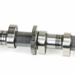 06H109021J Engine Parts Camshaft for AUDI A5, VW PASSAT, SEAT LEON (1P1)