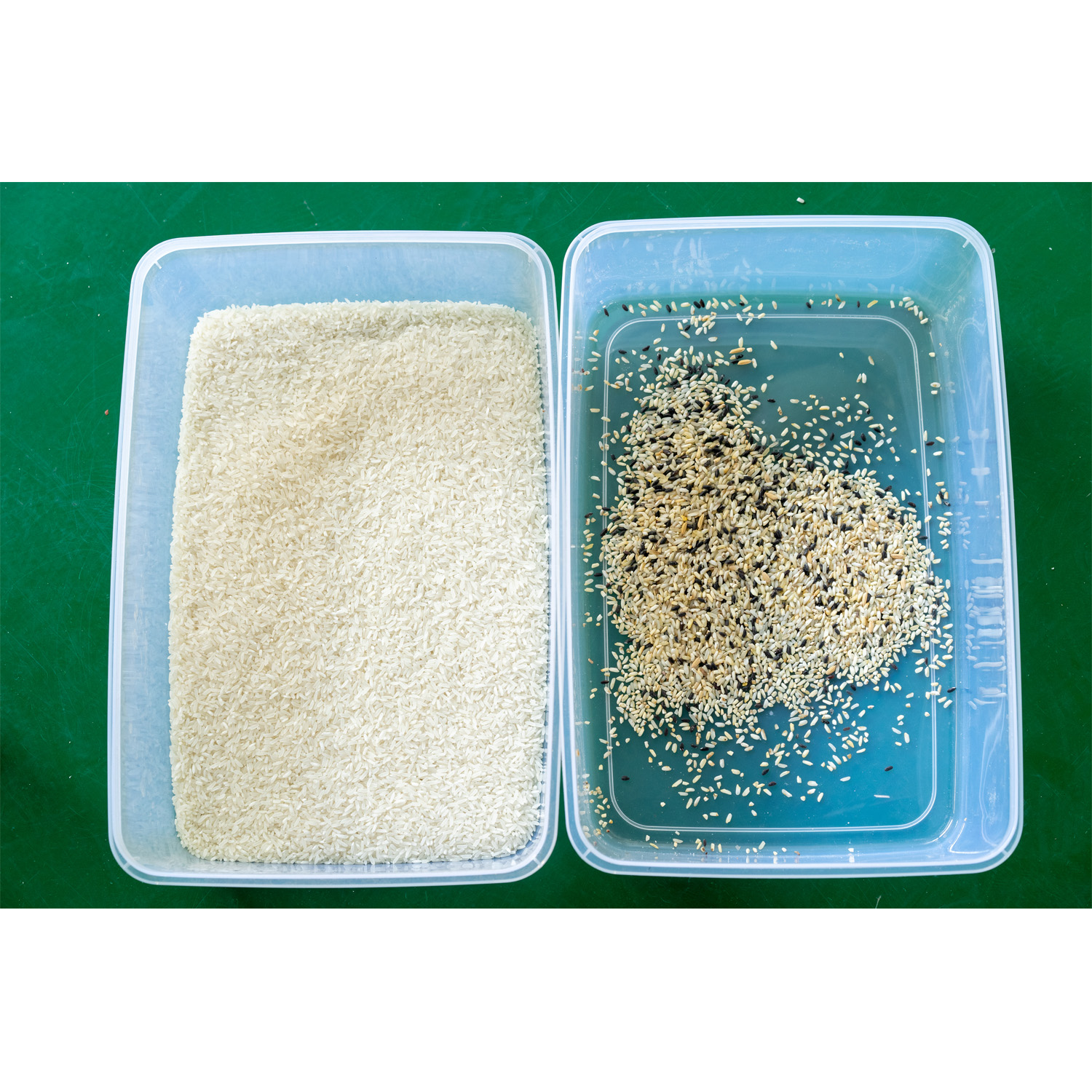 1 Chute 64 Channels Rice Colour Sorter Machine With Software Operating Platform