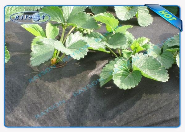 Water Permeable Garden Fabric Agriculture Non Woven Cover Weed Suppressant