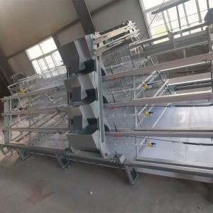 Quality Q235 Battery Broiler Baby Chick Cage For Meat Chicken wholesale