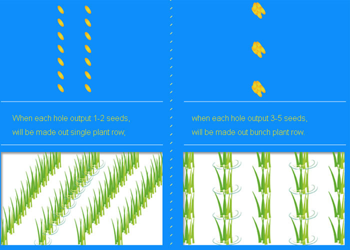 Independent Switch Long Gear Paddy Planter Machine Direct Seeding