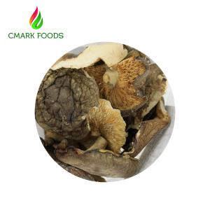 Quality Gourmet Food Dried Oyster Mushrooms Grade B Dried Wild Mushrooms wholesale