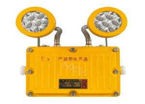 Quality Rechargeable Explosion Proof Emergency Light With Double Emergency Light wholesale