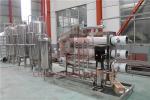 EDI Water Treatment Purification Machine In Bottle Water Filling Line