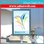 City Information Advertising Display with LED Strip Lighting