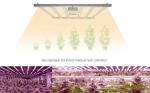 735nm 3000K LED Bar Grow Lights Lm301h UV Light For Seedlings