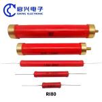 Ri80 10W 20W 30W 50W 100W 200W 300W 500W 1000W 100 Ohm Fixed Cylindrical High