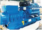 Natutal Gas Biogas Generator Set Electric 50kW NG U08254N 50HZ/60HZ