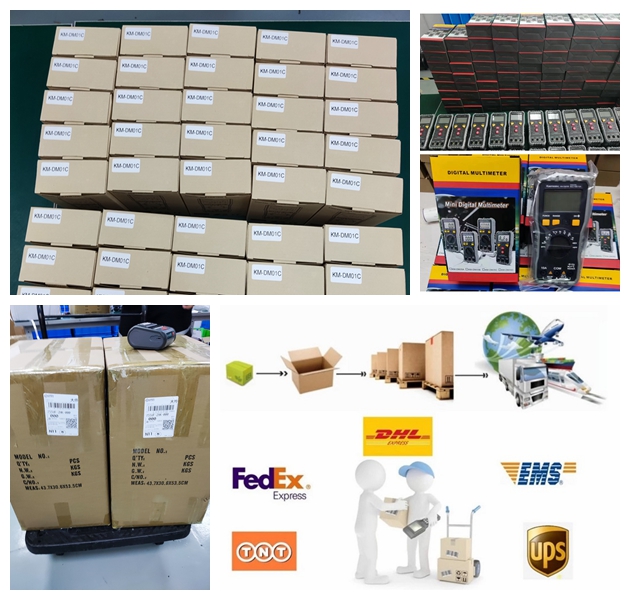 Digital Insulation Resistance Tester with Overload Protection and Measuring Range up to 2000MΩ Class 1 250V 500V 1000V