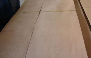 Quality Yellow Cherry Sliced Veneer 0.45mm Thickness For Edge Banding wholesale