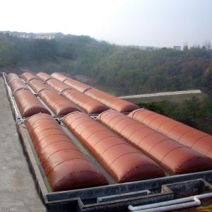 Quality Flexible Biogas Digester Tank Anti Freezing Anti Exposure Environmentally Friendly wholesale