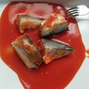 Quality 425G Canned Mackerel In Tomato Sauce Canned Fish to Different Markets wholesale